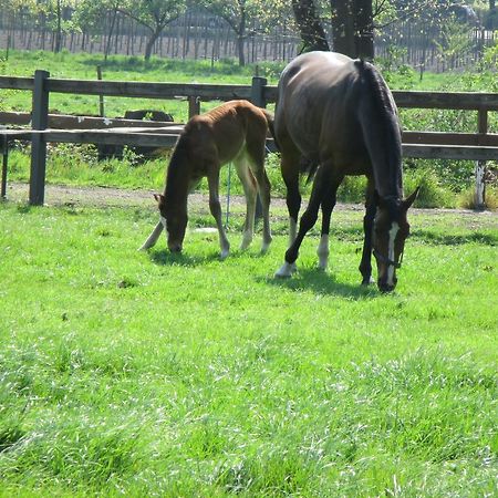 B&B De Turffabriek Griendtsveen Dış mekan fotoğraf